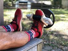 Load image into Gallery viewer, Iso Tib Raise - kneesovertoes exercises